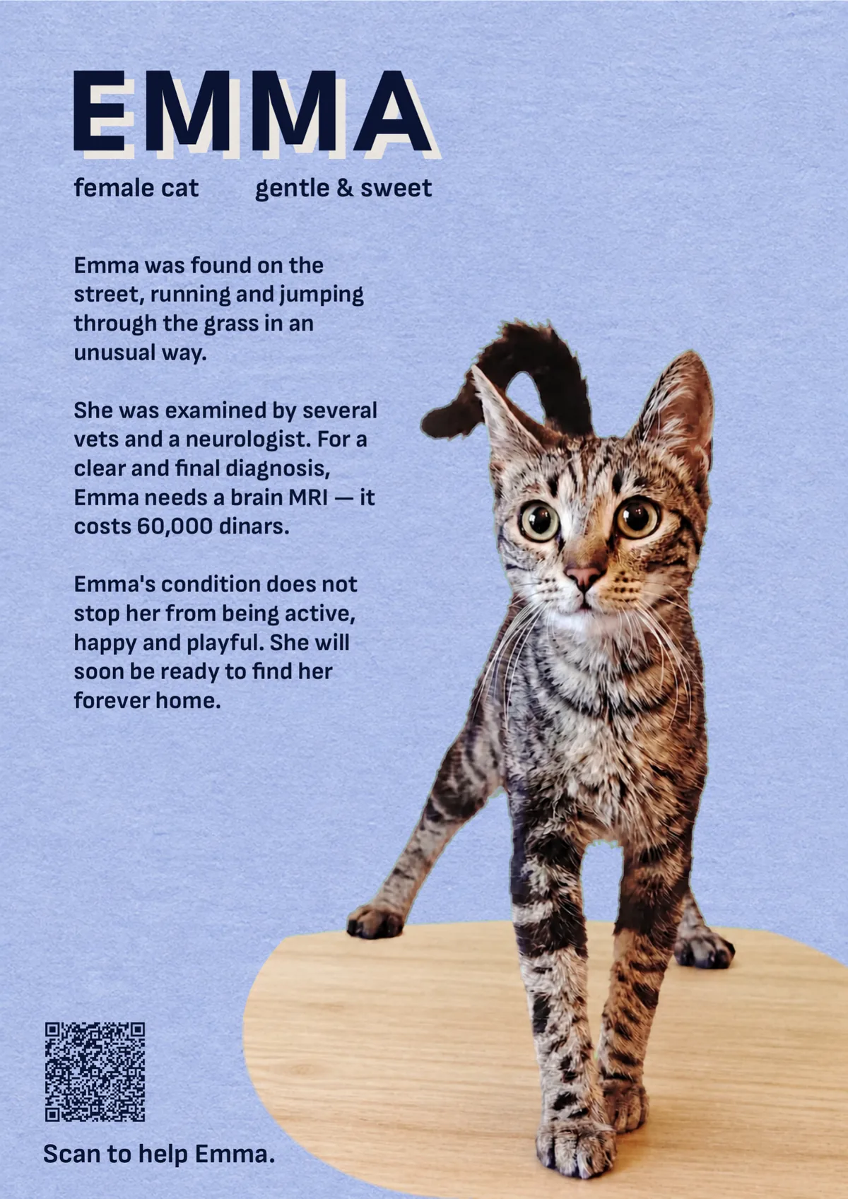 Emma’s event poster