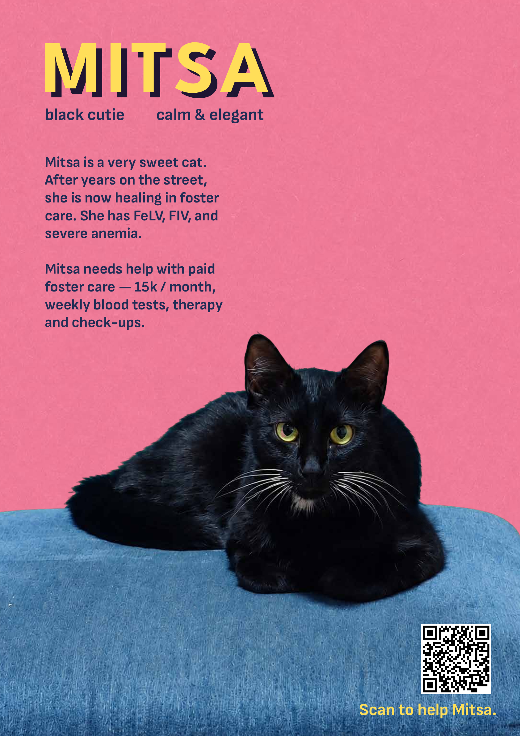 Mitsa’s event poster